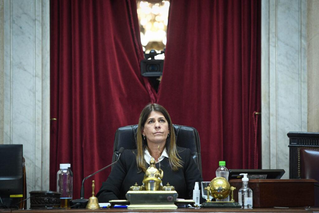 Guadalupe Tagliaferri en el recinto del Senado