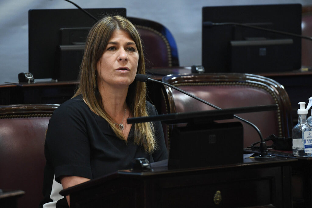 Intervencion de Guadalupe Tagliaferri en una sesion del Senado